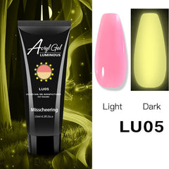 Nail Extension Gel luminous color Luminous-05