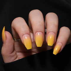 24pcs/Set Press On Nails XNPH993-2