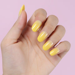 24pcs/Set Press On Nails XNPH1010-3