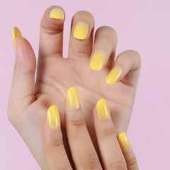 24pcs/Set Press On Nails XNPH1010-3