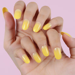 24pcs/Set Press On Nails XNPH1010-3