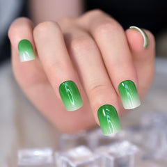 24pcs/set Press on False Nails L6597 EC-L6597