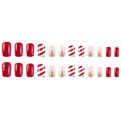 24pcs/Set Press On Nails DY752-B7