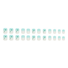 24pcs/Set Press On Nails W746