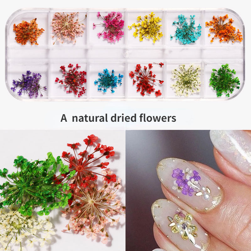 Dried Flowers for Nail Art & Resin Craft DIY  Decorations - Perfect for Manicures, Pedicures, and Crafting