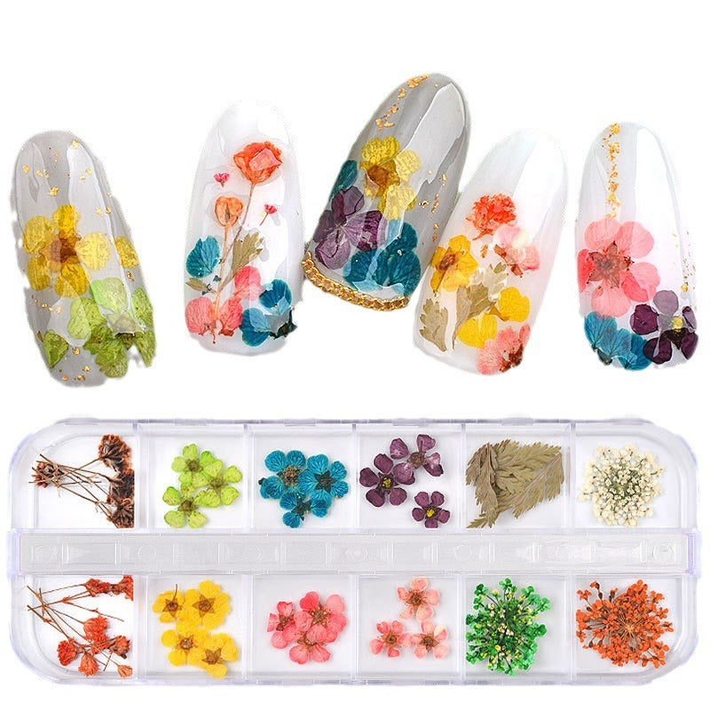 Dried Flowers for Nail Art & Resin Craft DIY  Decorations - Perfect for Manicures, Pedicures, and Crafting